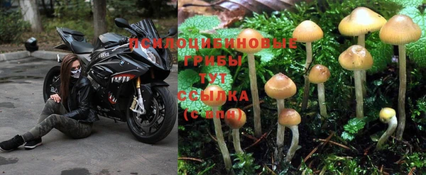 дистиллят марихуана Каменка