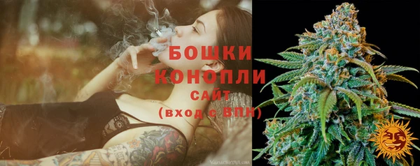 apvp Иннополис