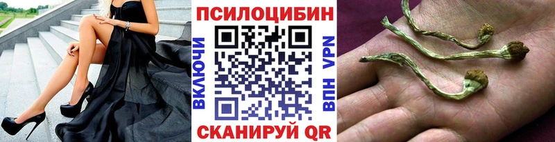 Псилоцибиновые грибы Psilocybe  Спас-Деменск 